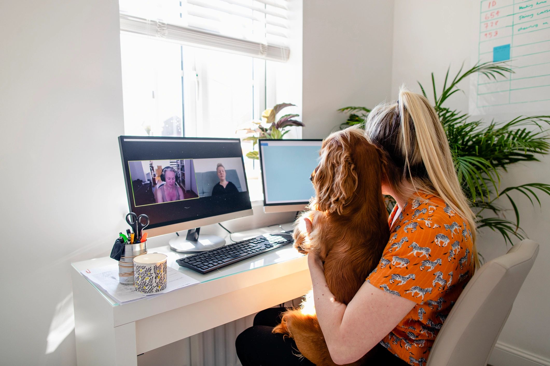 Pet owner with dog