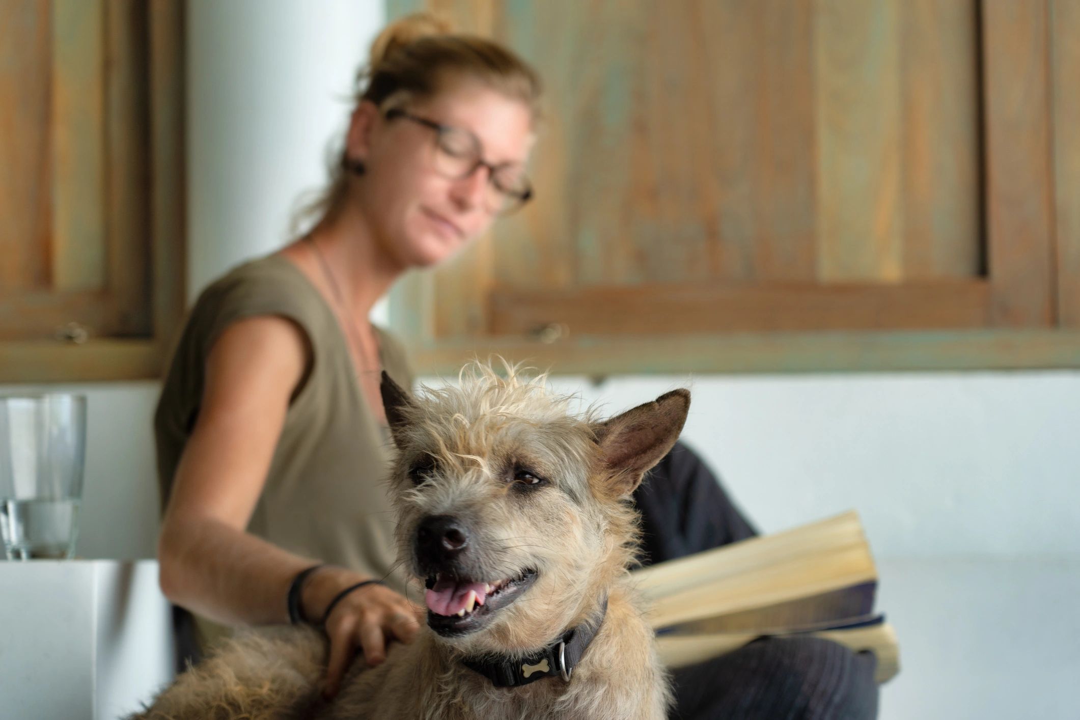 Pet owner with terrier dog