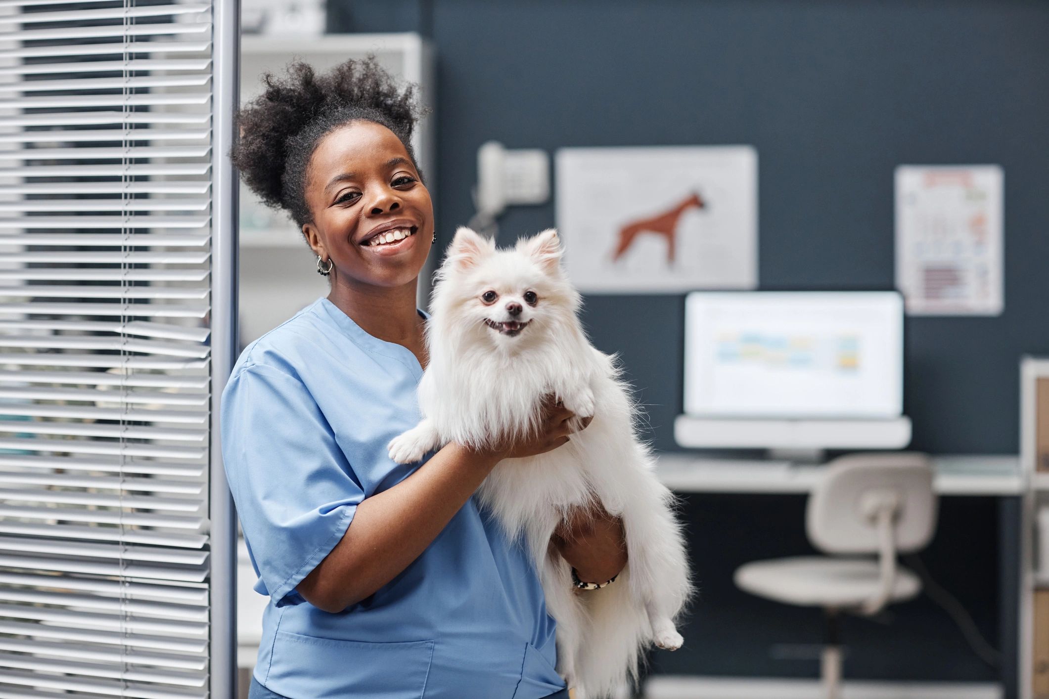 Smiling veterinarian holding a small dog
