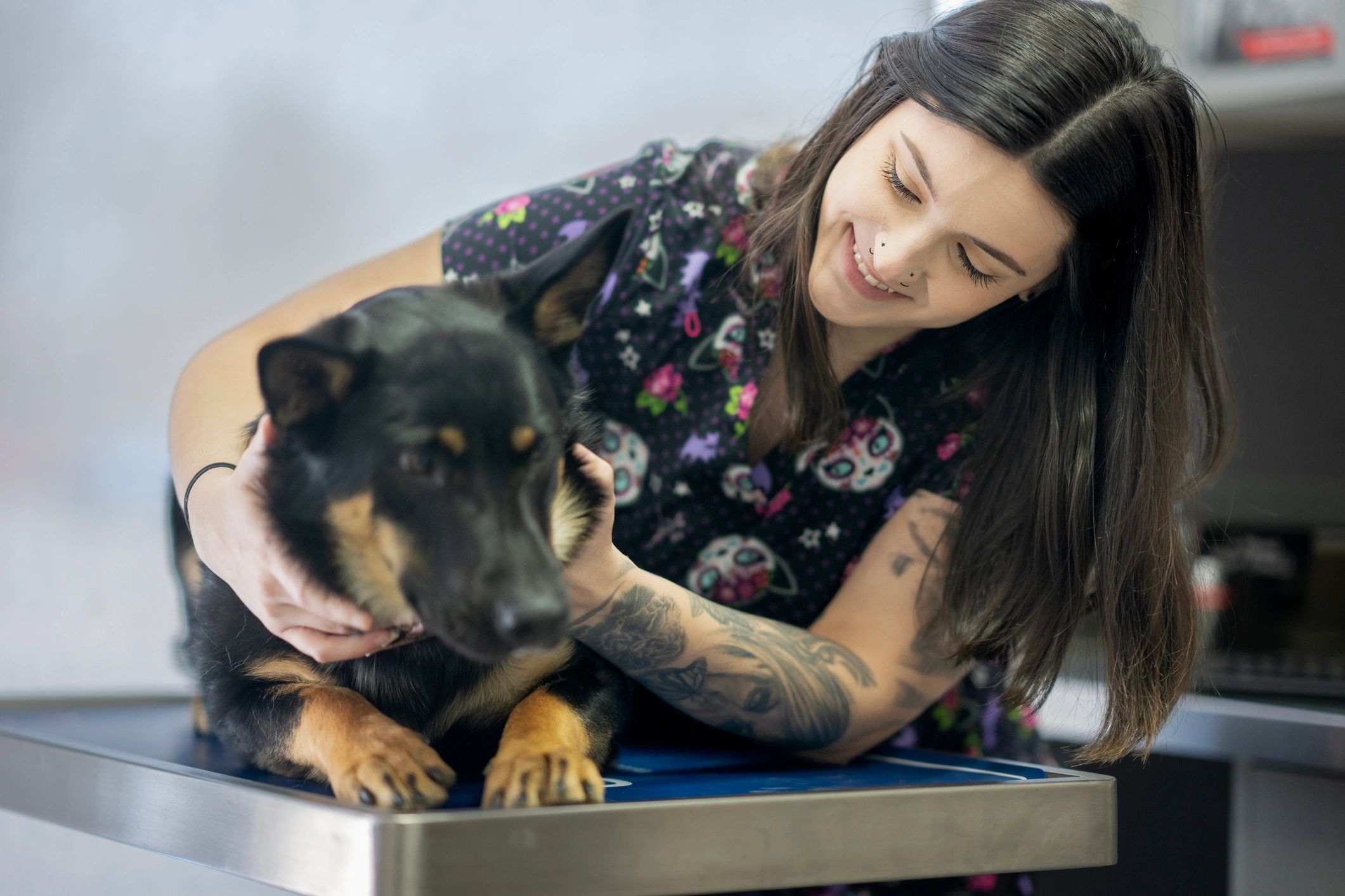 Veterinary professional providing a calm dog exam in clinic